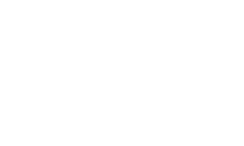 cocacola andina